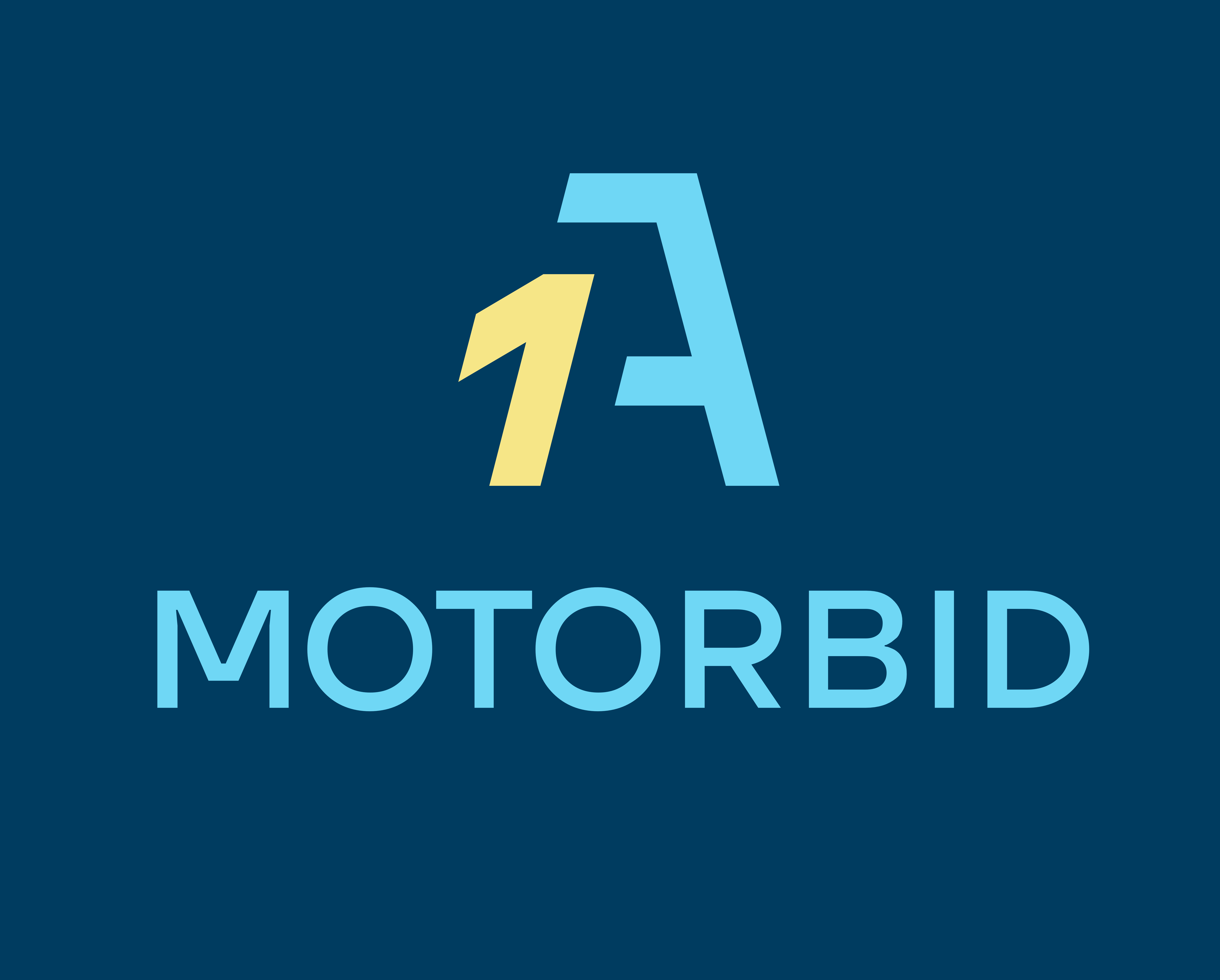 1A Motorbid Group GmbH